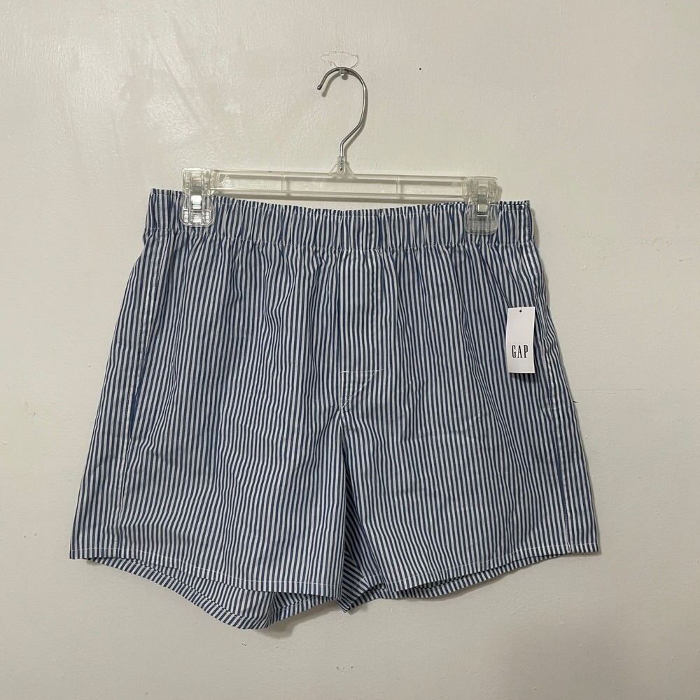 Gap Mens Boxer Briefs Blue White Striped Size S 30-31 NWT